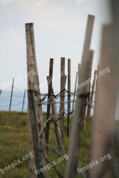 Pasture Alm Fence Summer Rural