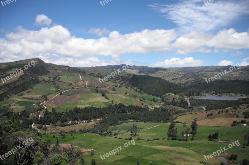 Farm Green Grass Agriculture Nature