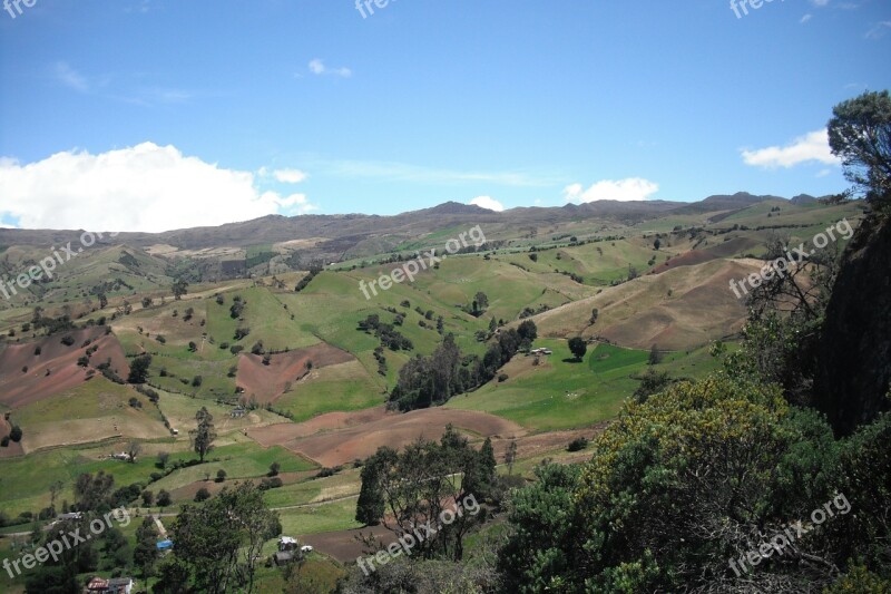 Farm Green Grass Agriculture Nature