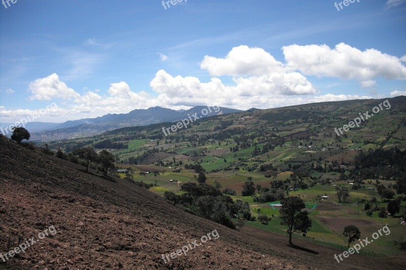 Farm Green Grass Agriculture Nature