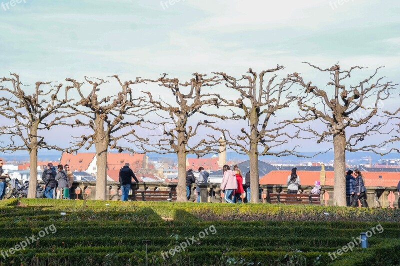 Bamberg New Residence Rose Garden Trees Walkers