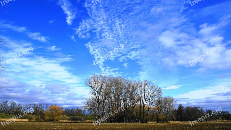 Landscape Trees Grove Of Trees Nature Sky