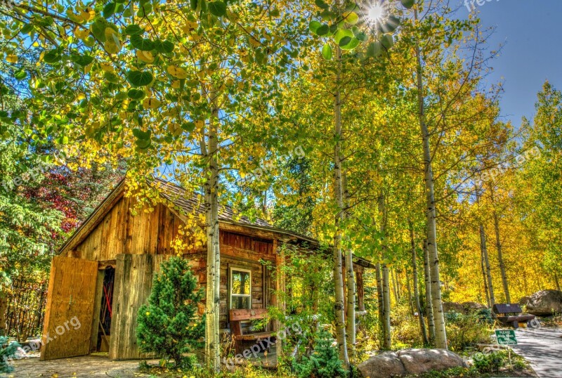 Vail Colorado Foliage Log Cabin Landscape