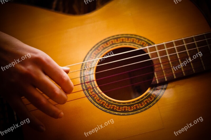 Guitar Music Instrument Guitarist Melody