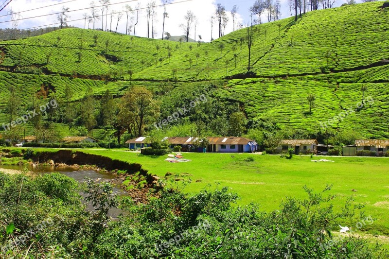 Tea Garden Hill Station Kerala Munnar Natural