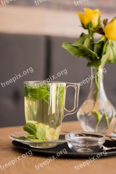 Tea Mint Coffee Shop Beverage Herbs