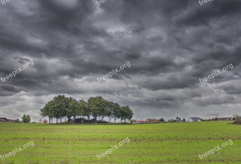 Landscape Nature Field Forest Outdoor