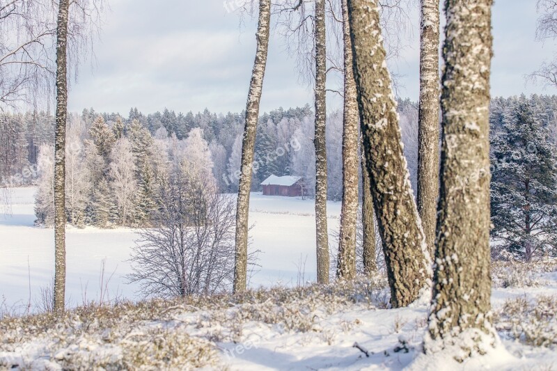 Winter Winter Landscape Nature Snow Cold