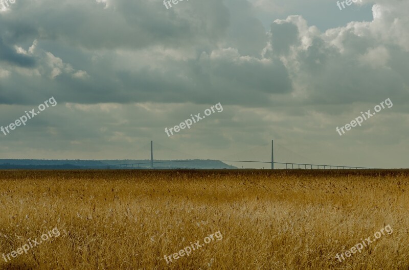 France Landscape Reed Bed Reed Estuary