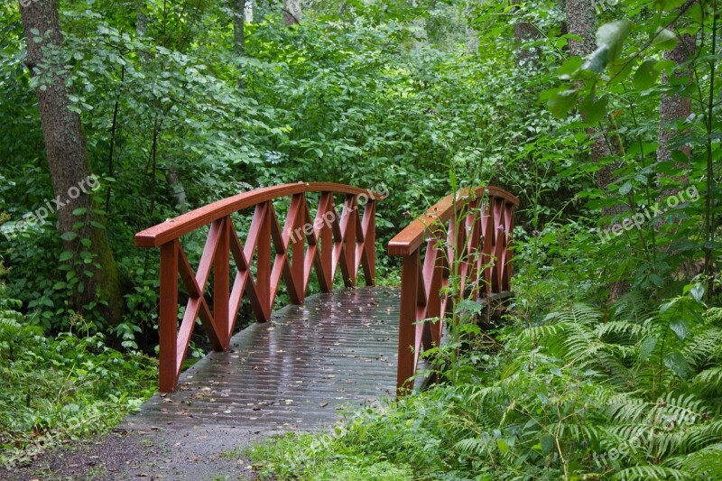 Bridge Small Bridge Red Green Trees