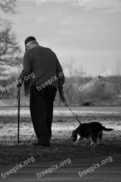 Dog Old Man Walk Elderly Pet