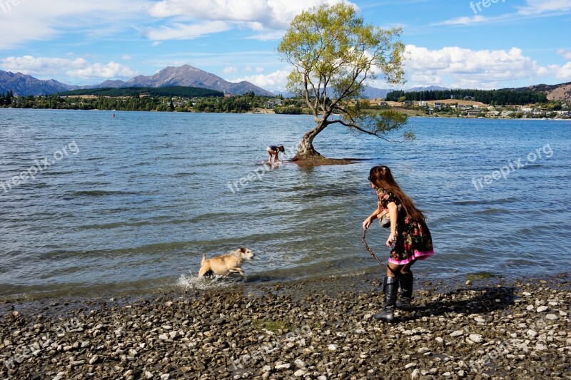 Wanaka Lone Tree New Zealand People Dog