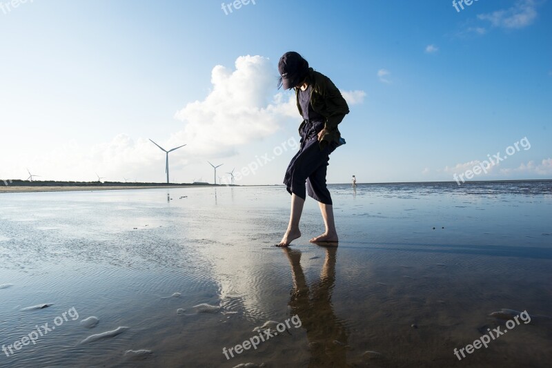 Treading Clams Gold Beach Scenic Area The Sea Windmill Free Photos