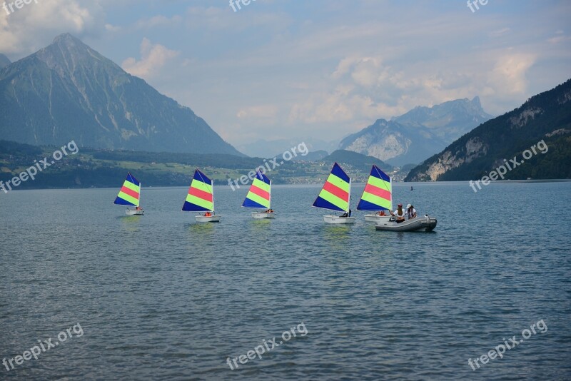 Lake Thun Optimists Sail Course Free Photos