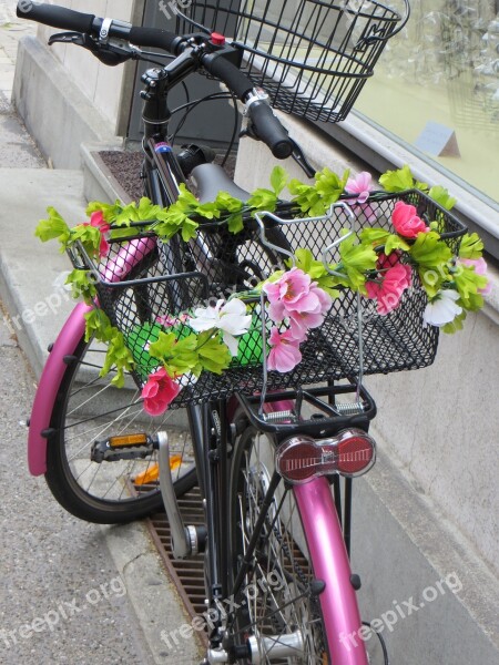 Bike Pink Flower Basket Free Photos