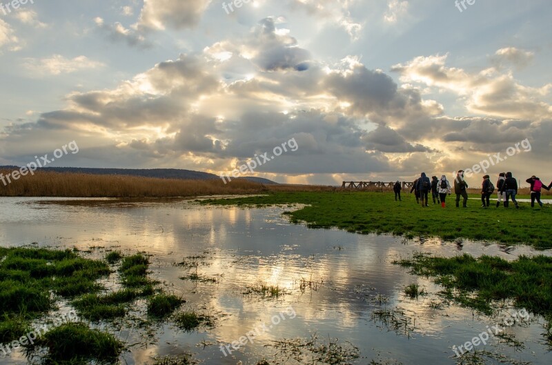 France Landscape Reed Bed Reed Estuary