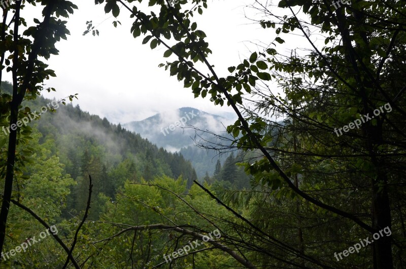 Nature Mountains Fog Free Photos