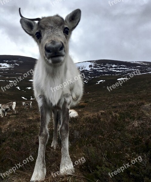 Scotland Hiking Outdoors Nature Adventure