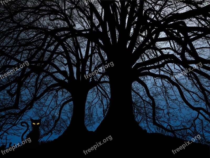 Night The Night Tree Silhouette Darkness