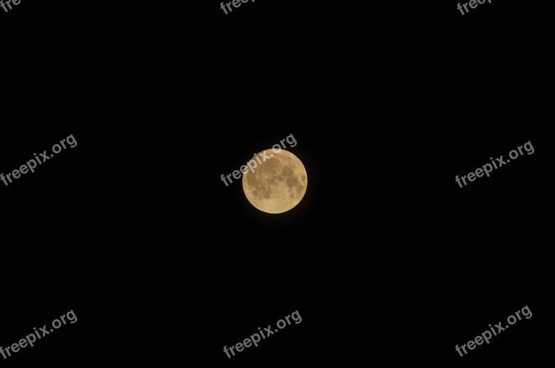 Full Moon Moon Moonlight Night Free Photos