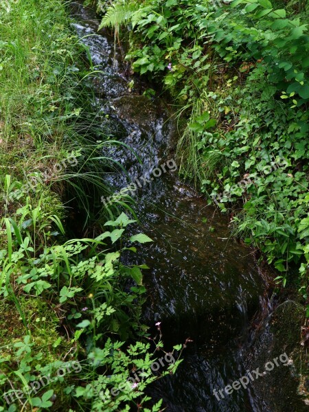 River Bach Water Nature Landscape