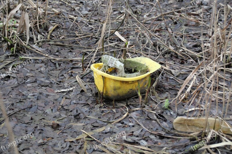 Helm Nature Yellow Free Photos