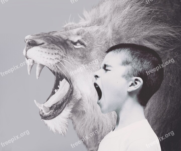 Child Boy Lion Predator Roar