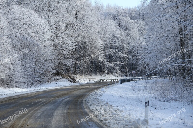 Snow Road Winter Landscape Trees