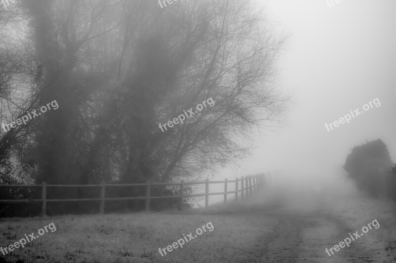 Landscape Mist Fog Silhouette Nature