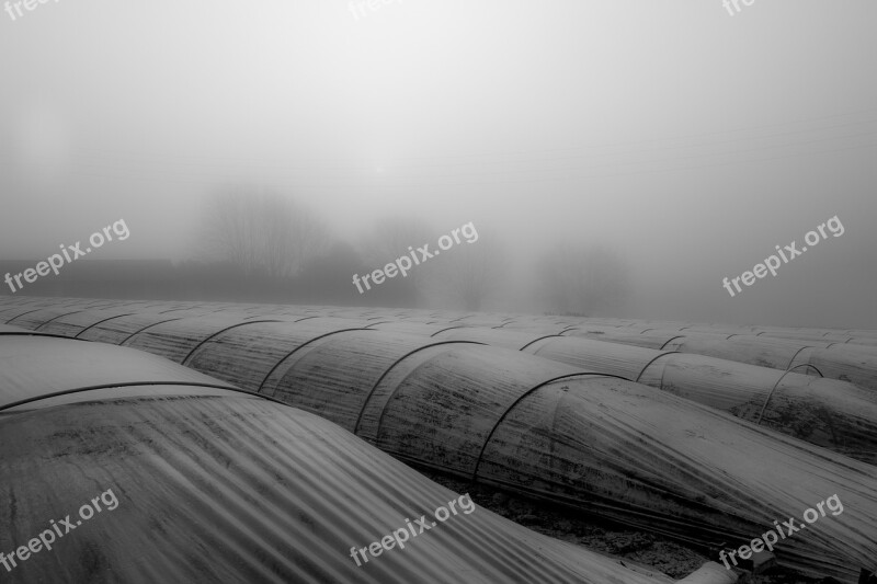 Landscape Mist Fog Silhouette Nature