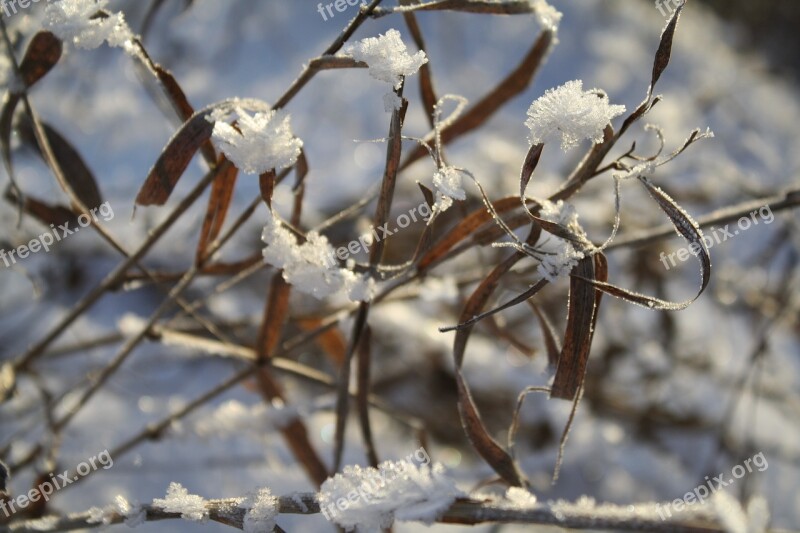 Snow Ice Winter Nature Frozen