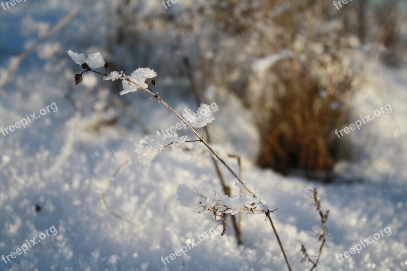 Snow Ice Winter Nature Frozen