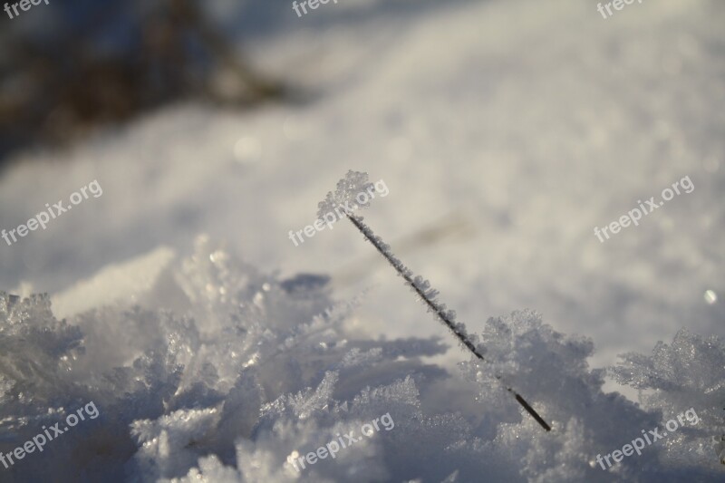 Snow Ice Winter Nature Frozen