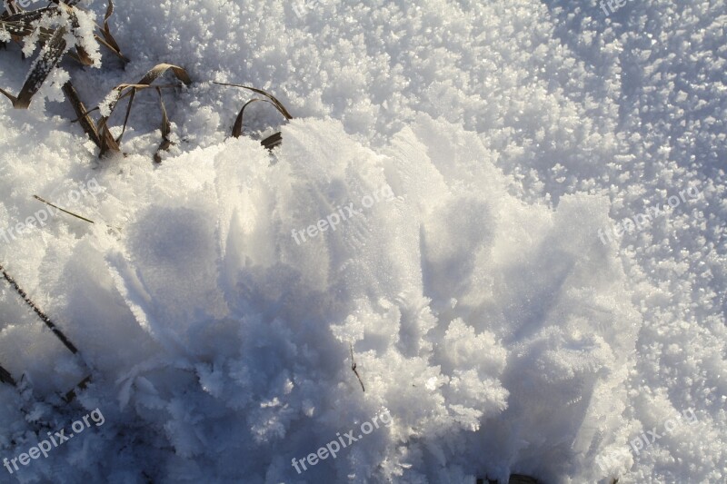 Winter Ice Snow Nature Beautiful