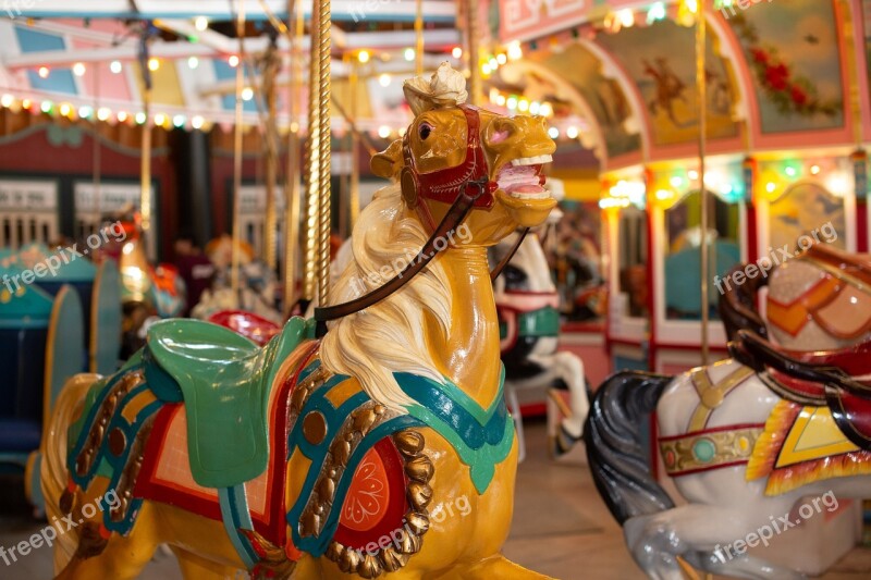 Carousel Horse Amusement Ride Colorful