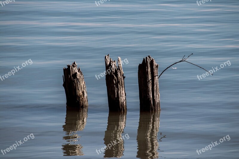 Piles Water Wood Wooden Posts Waters