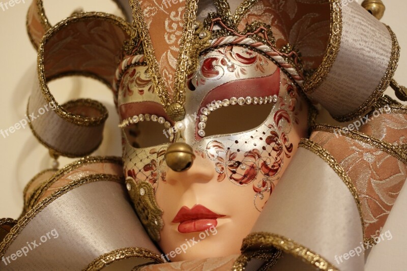 Venice Mask Carnival Carneval Costume