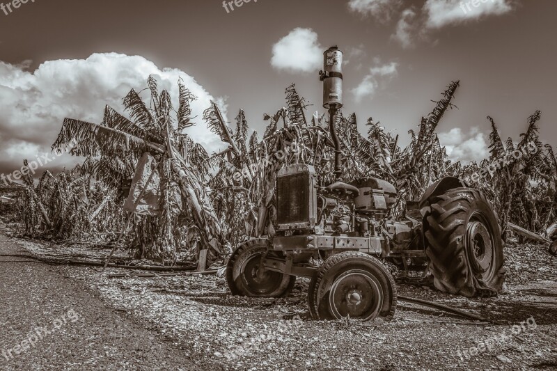 Tractor Old Oldtimer Rusty Aged