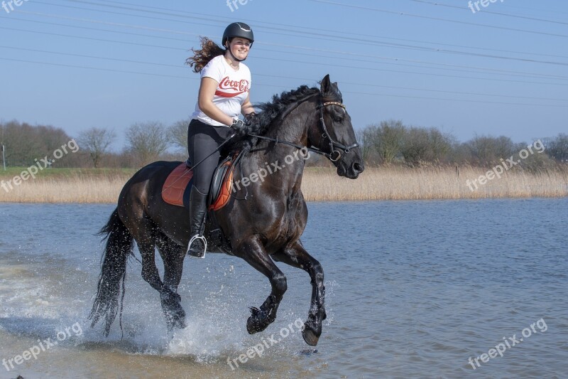 Horseback Riding Horse Nature Equestrian Outdoor