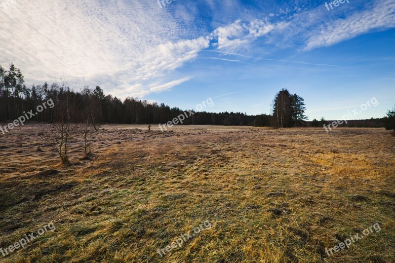 Moor Landscape Meadow Swamp Nature