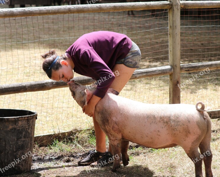 Pig Kiss Petting Kissing Adorable