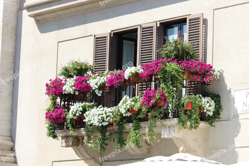 Italy Window City Old Flowers