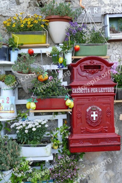 Agropoli Italy Mediterranean Cilento Flowers