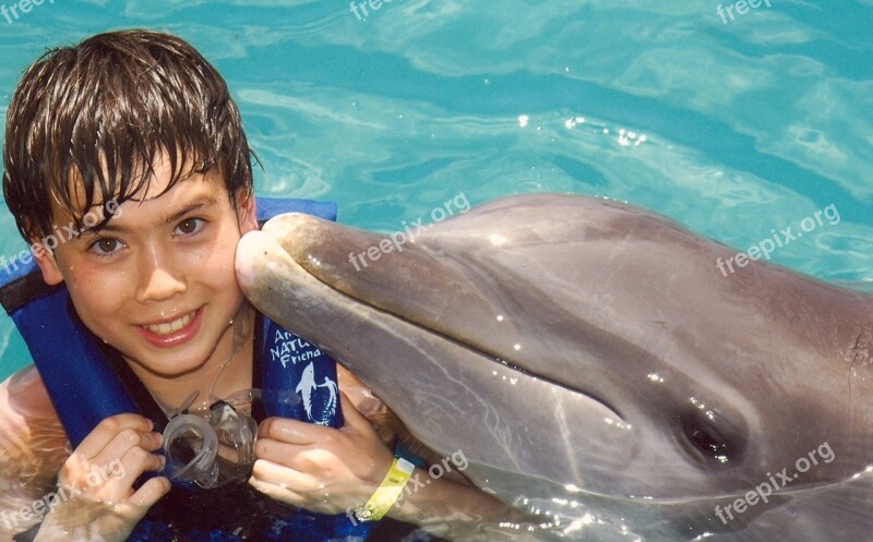 Boy Dolphin Louis Water Free Photos