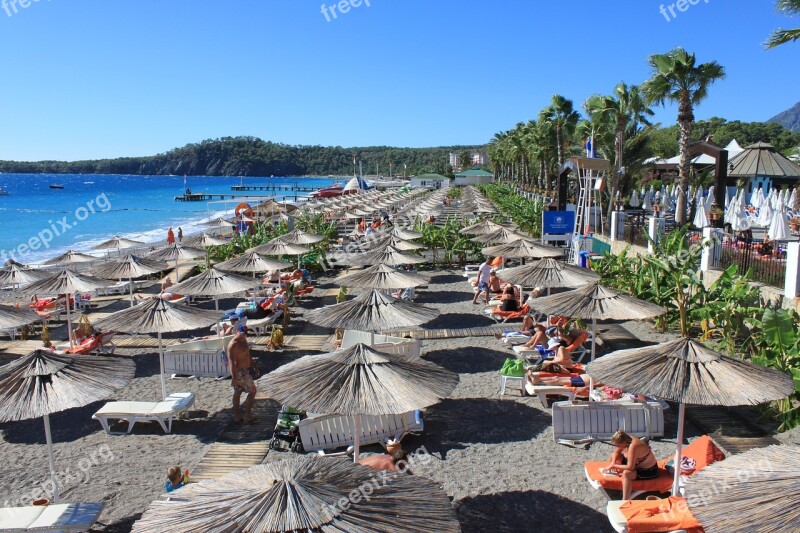 Parasols Nature Summer Water Beach