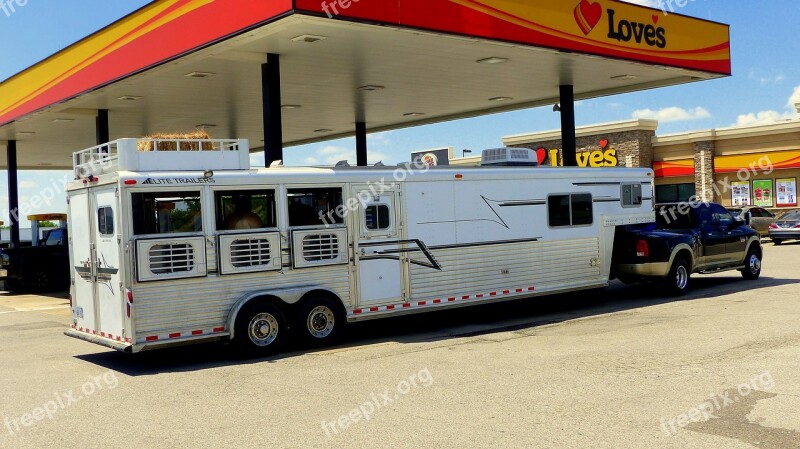 Transport Trailer Horses People Cattle