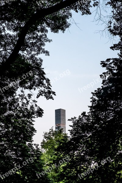 New York Central Park Manhattan Nature Park