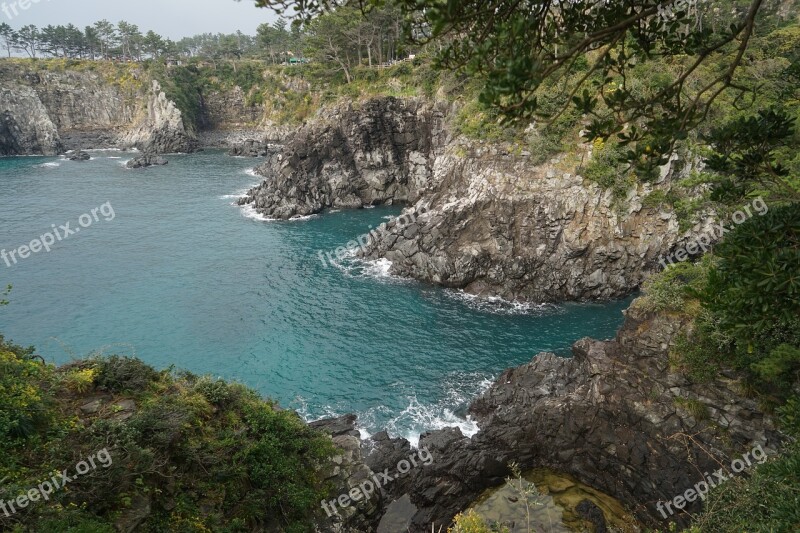 Jeju Jeju Island Island Sea Wood