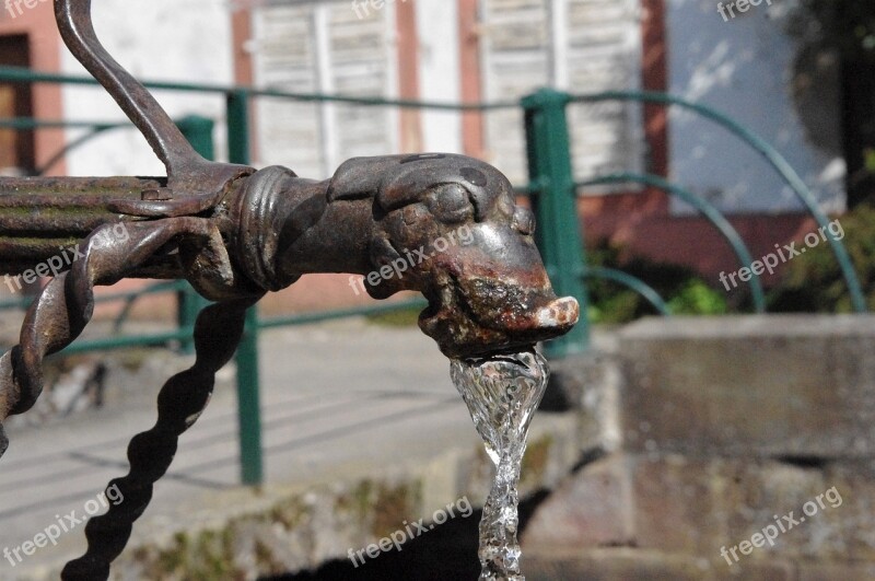 Water Gargoyle Fountain Mythical Creatures Stone