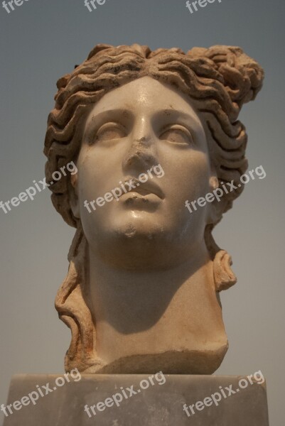 Bust Sculpture Museum Rome Hellenic